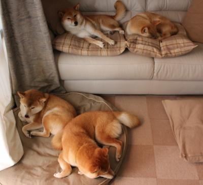 德甲球队高强度对抗期间体能消耗与技术表现关联,德甲冲刺速度